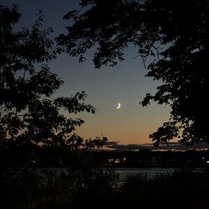 Meet your Posher, Frank